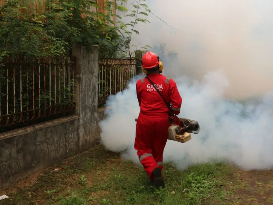 Pest Control Technician — Outdoor Service — Pest Control Technician, Fogging Machine, Hard Hat, Pest Control, Pest Control i…